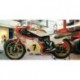 Suzuki RG 500 WC GP 500 1977 Barry Sheene Minichamps 122770007