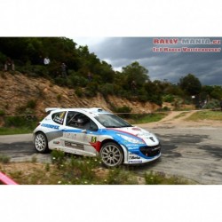Peugeot 207 S2000 5 Tour de Corse 2013 Bouffier Panseri IXO RAM557