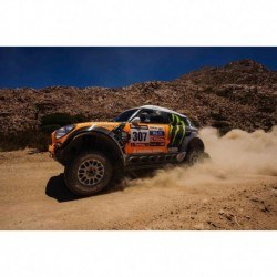 Mini All 4 Racing 307 Rallye Dakar 2013 Novitskly Zhiltsov IXO RAM575P