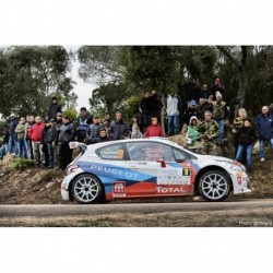 Peugeot 208 T16 R5 9 Tour de Corse 2014 Magalhaes Magalhaes IXO RAM600