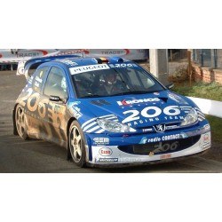 Peugeot 206 WRC 2 Rallye Condroz 2003 Loix Smeets Sunstar SUN3864