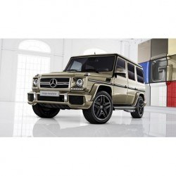 Mercedes G500 4X4 Desert Sand Almost Real ALM820206