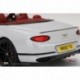 Bentley Continental GT Convertible Ice Top Speed TS0291