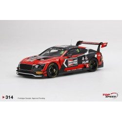 Bentley Continental GT3 5 Champion Blancpain GT Asia 2018 Truescale TS0314