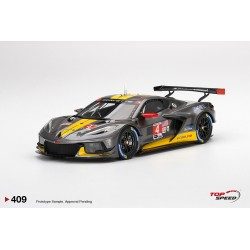 Chevrolet Corvette C8R 4 24 Heures de Daytona 2022 Truescale TS0409