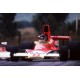 McLaren M23 F1 Afrique du Sud 1976 2ème James Hunt Spark S4360