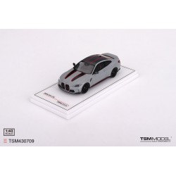 BMW M4 CSL Frozen Brooklyn Grey Metallic Truescale TSM430709