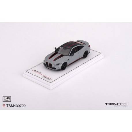 BMW M4 CSL Frozen Brooklyn Grey Metallic Truescale TSM430709