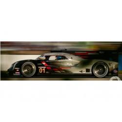 Cadillac DPI-V.R 1 Pole Position 12 Heures de Sebring 2022 Spark US342