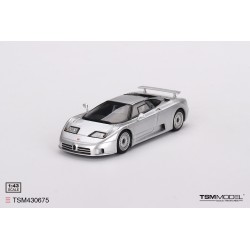 Bugatti EB110 GT Grigio Chiaro Truescale TSM430675